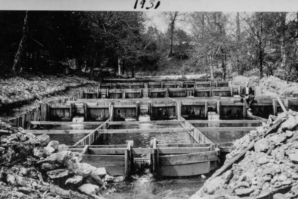 Image en noir et blanc : Écloserie d'origine avec des chemins de roulement en terre avec des côtés et des extrémités en bois.