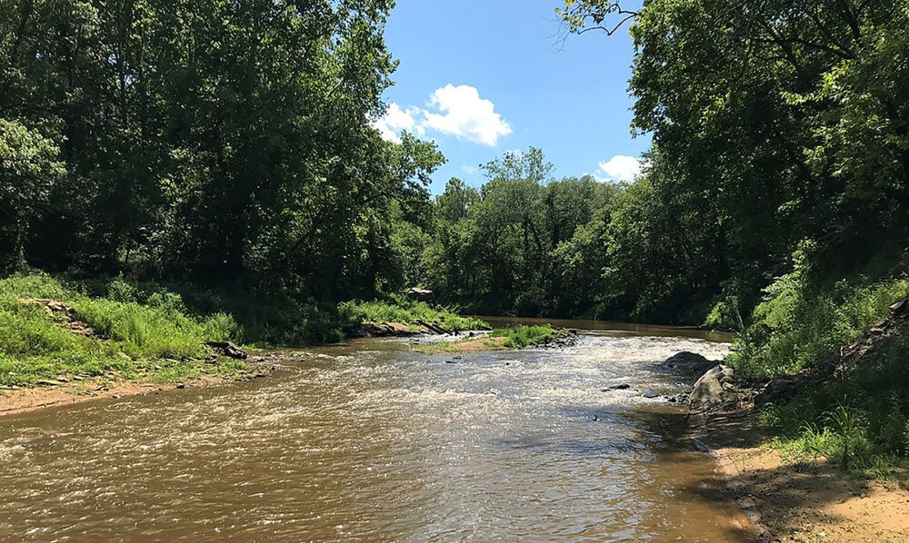 Une image de la rivière en bonne santé trois ans après la suppression du barrage