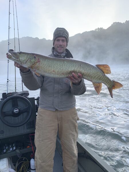 Une image du maskinongé