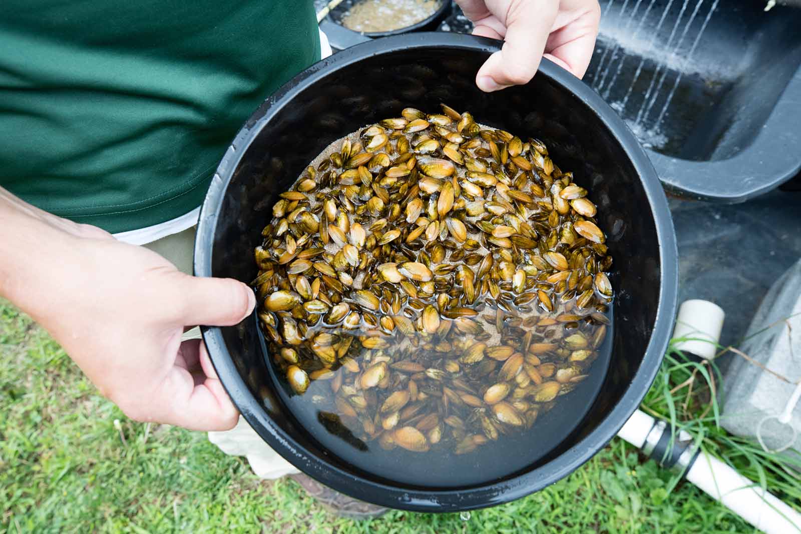 Cliquez pour agrandir l'image