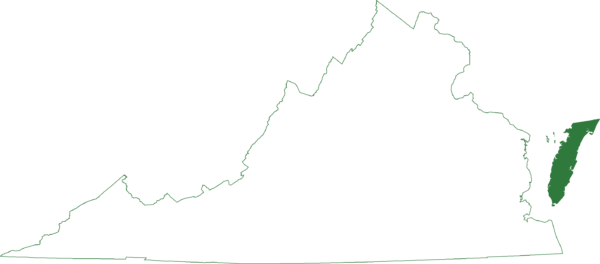 La rainette faux-grillon du New Jersey ne se trouve qu'à Chincoteague Virginia.