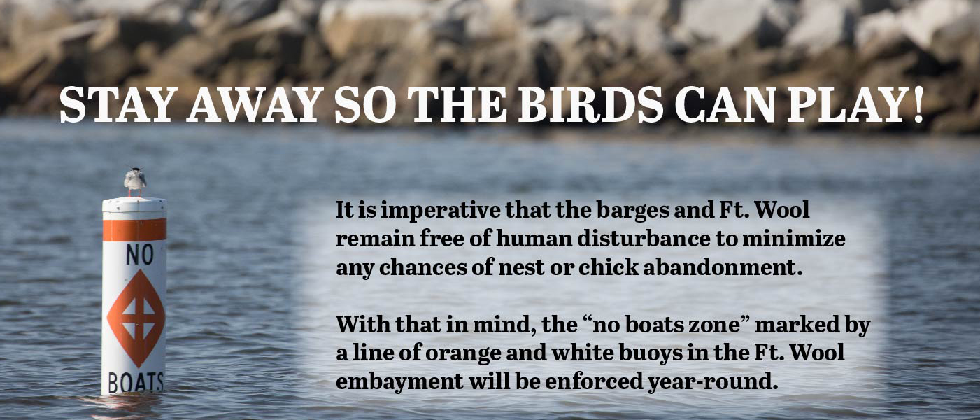 Une image indiquant que Fort Wool et les barges doivent être exempts de toute perturbation humaine afin de favoriser la nidification des oiseaux de rivage.