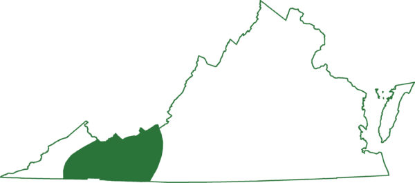 La salamandre à joues grises se trouve dans certaines régions des Appalaches.