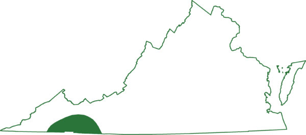 La salamandre pygmée est présente dans une seule région de Virginie.