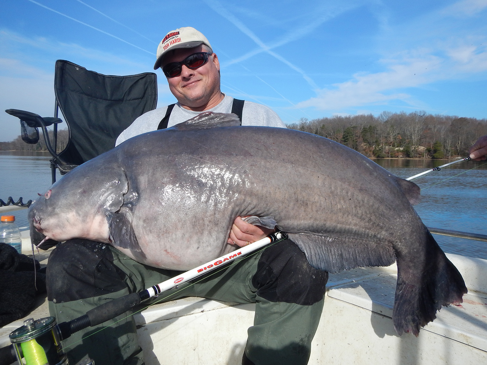 La photo d'un homme dans un bateau tenant un énorme poisson-chat bleu sur ses genoux.