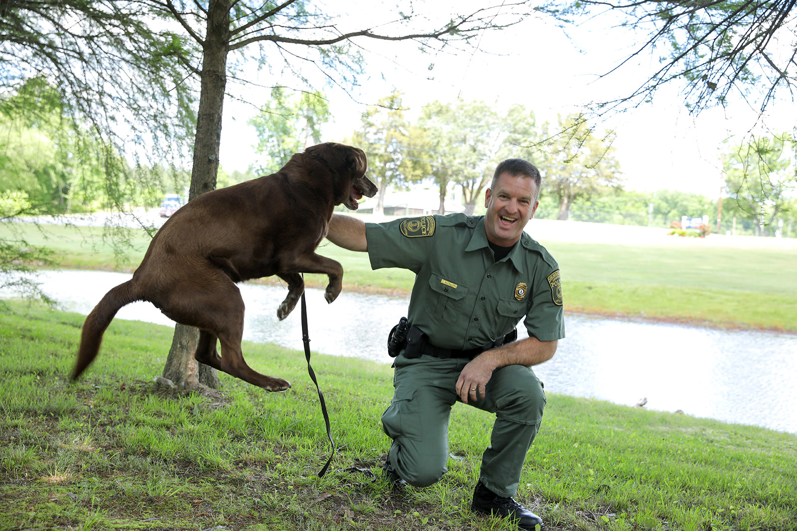 Une photo d'un labrador brun sautant avec excitation à côté d'un agent de la police de la conservation agenouillé. 