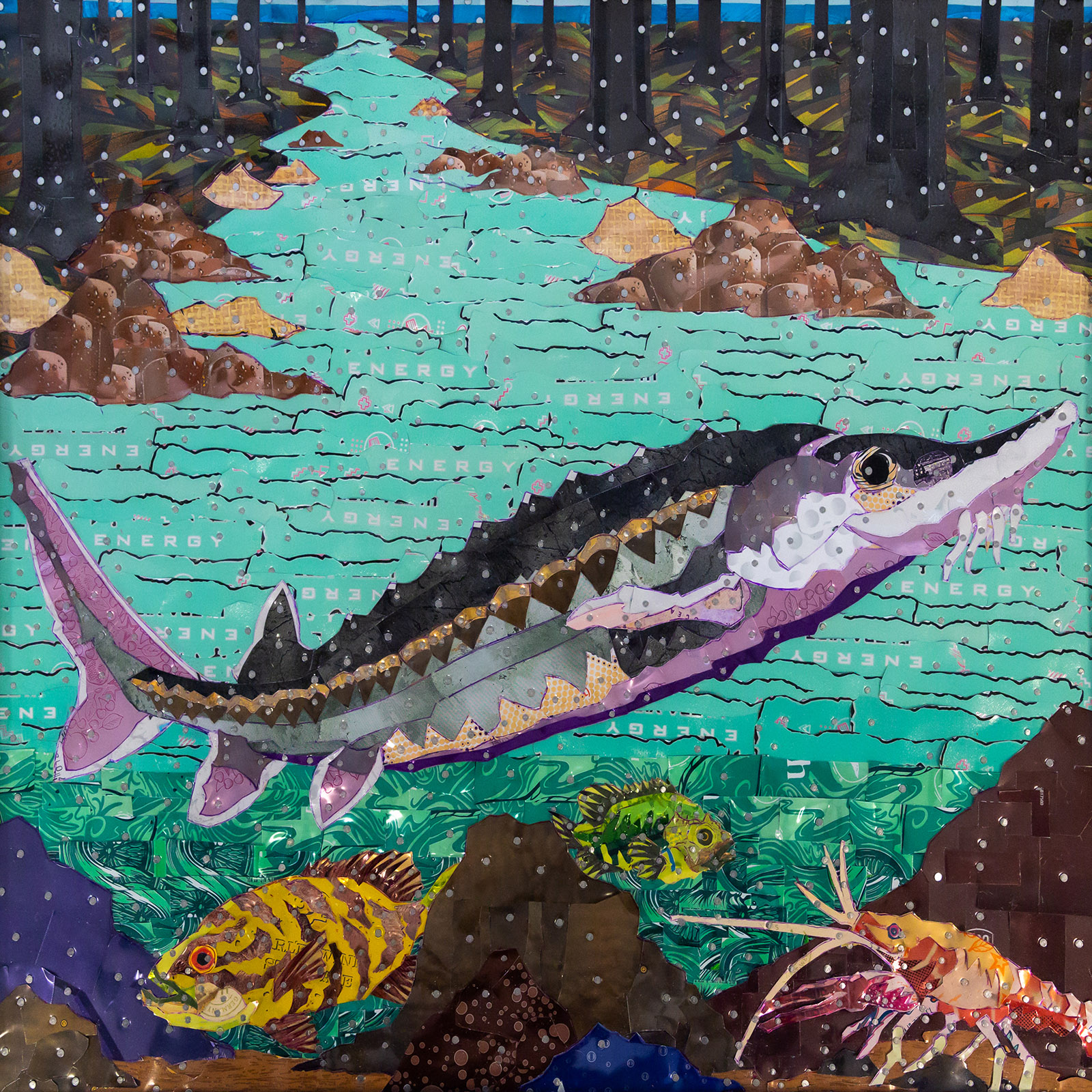 Une image inhabituelle d'un esturgeon de l'Atlantique fabriquée à partir de boîtes de conserve en aluminium. 