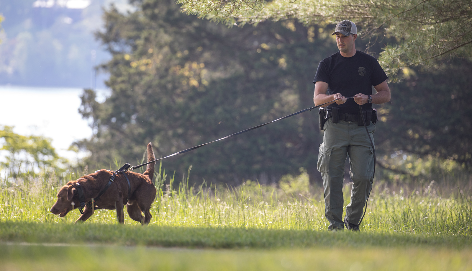 Une photo d'un homme en uniforme des forces de l'ordre tenant une longue laisse à laquelle est attaché un gros chien marron par un harnais.