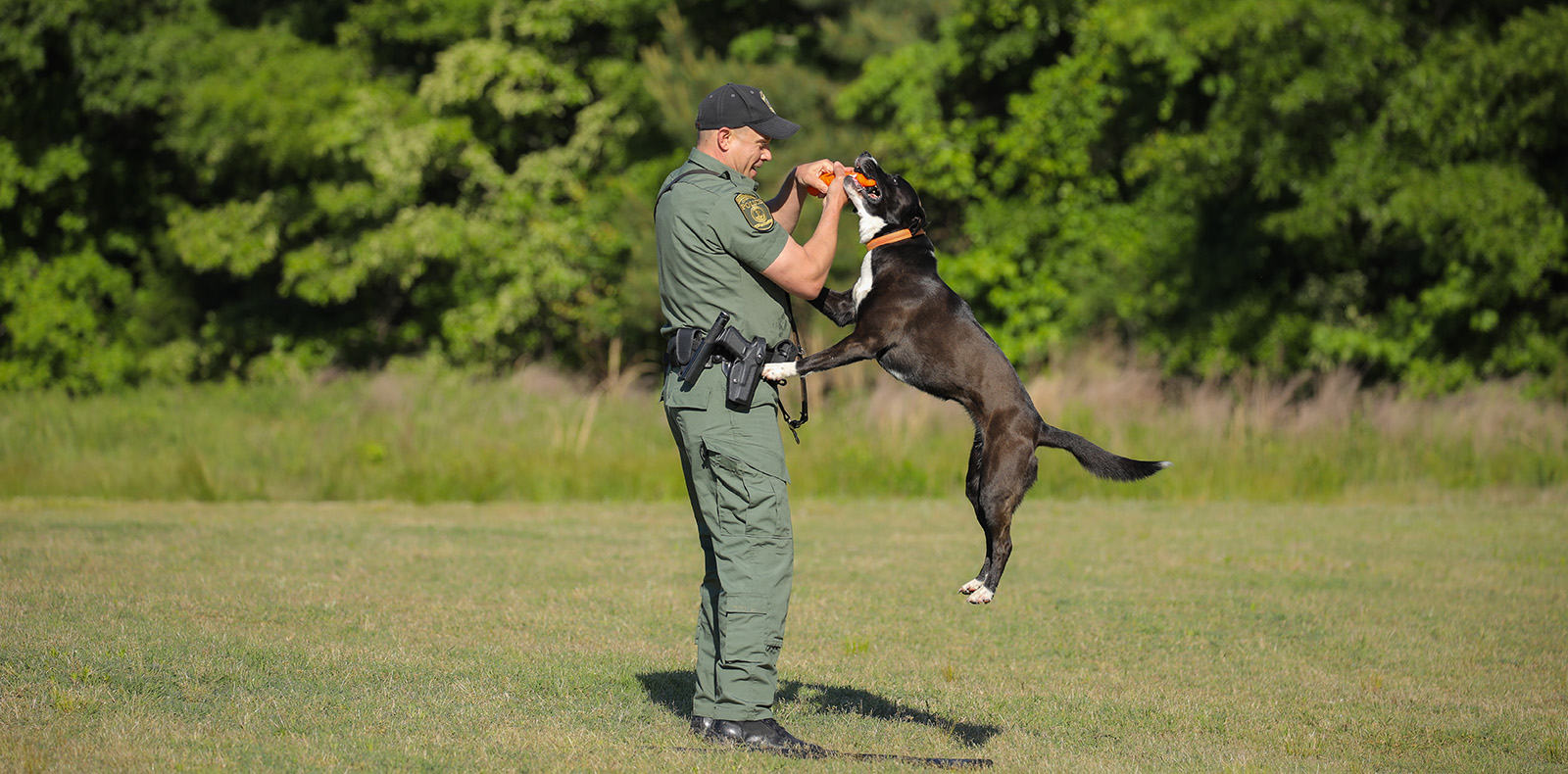 La photo d'un homme en uniforme des forces de l'ordre tenant un jouet et d'un chien qui saute pour l'attraper.