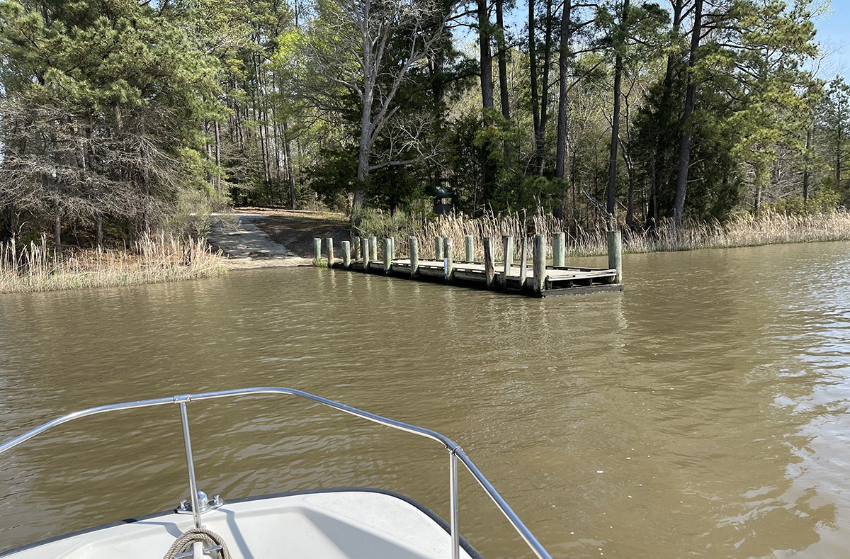 Image d'un quai d'embarquement menant à une forêt de feuillus, prise à partir d'un bateau.