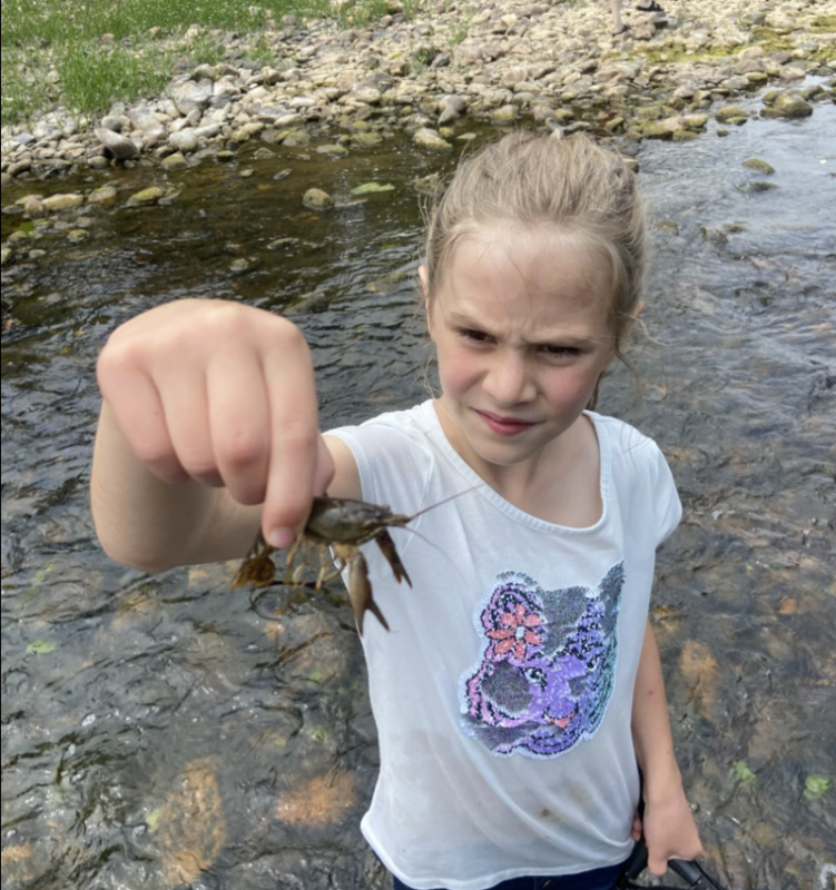 Une photo d'une jeune fille debout dans un ruisseau, tenant une écrevisse entre ses doigts et la regardant.