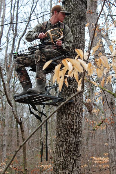 Image d'un chasseur debout sur une plate-forme d'arbre, tenant un bois de cerf ; il les fait claquer l'un contre l'autre pour tenter d'attirer les mâles.