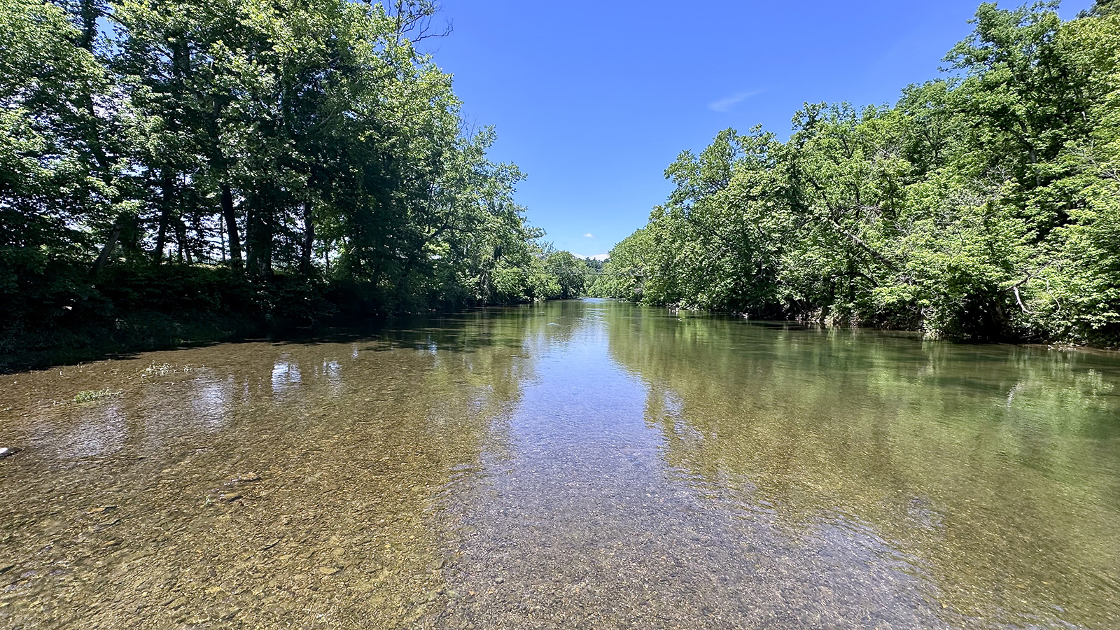 Une jolie photo d'une rivière prise au milieu de l'eau, avec des arbres qui bordent les rives.