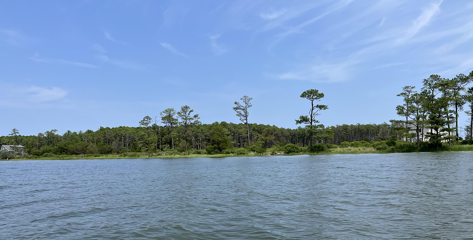 Une photo de la rive d'une rivière avec des marais herbeux sur le bord du rivage. 