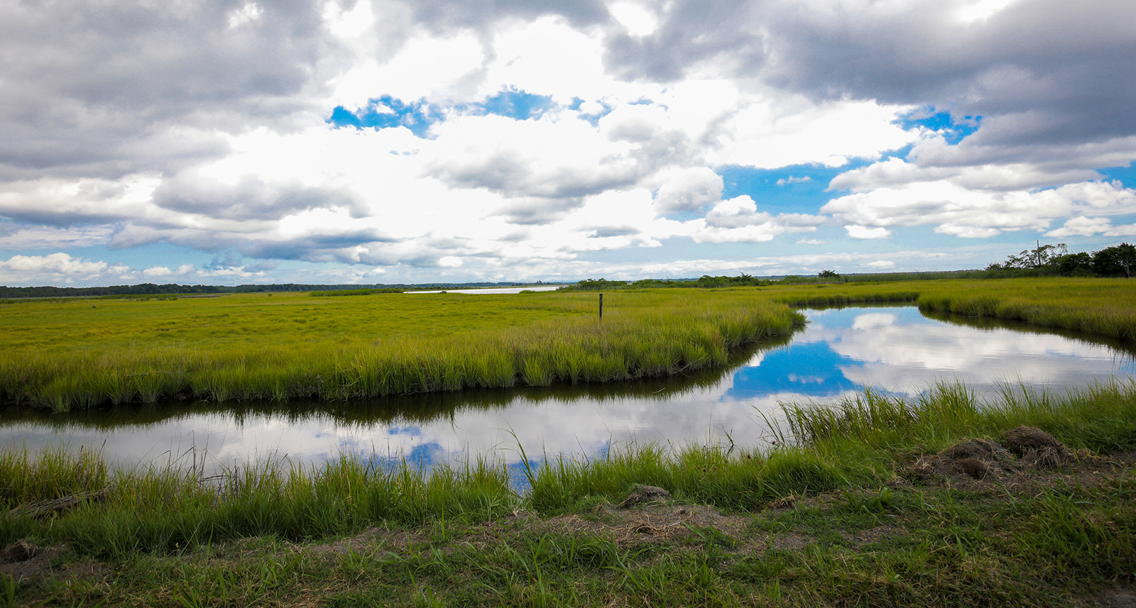 Une photo saisissante d'un canal d'eau se faufilant à travers les marais sous un ciel bleu pittoresque.
