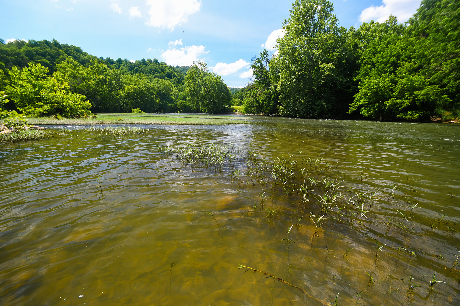 Photo d'une rivière prise à mi-parcours, avec des ondulations de l'eau et des arbres sur les berges.