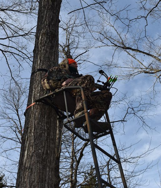 Image d'un chasseur avec un arc et des flèches dans un arbre à l'affût d'un cerf.