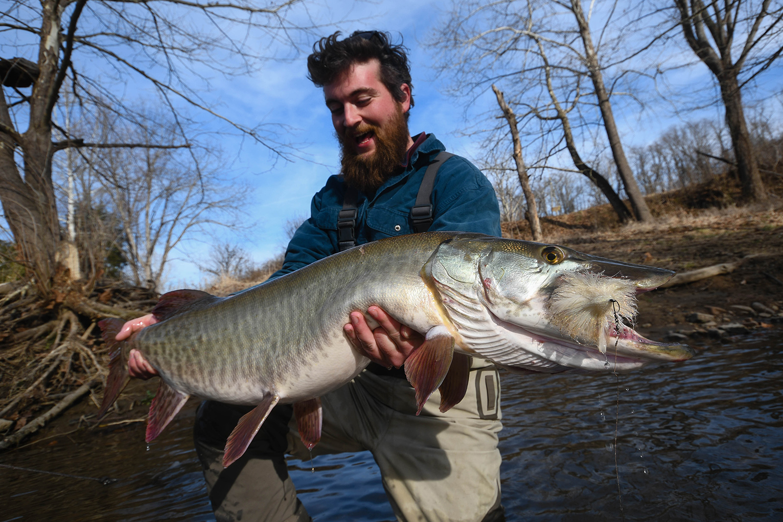Photo d'un pêcheur souriant tenant un grand et long poisson avec les mains sous les branchies et autour de la queue.