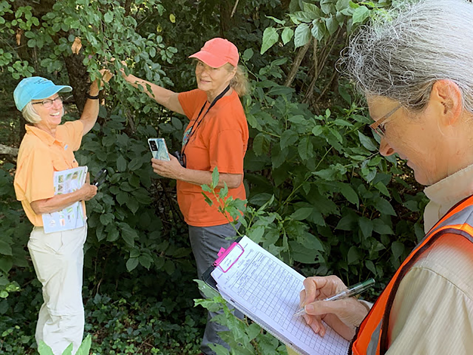 Photo de deux femmes observant attentivement un buisson et d'une autre femme prenant des notes sur un presse-papiers.