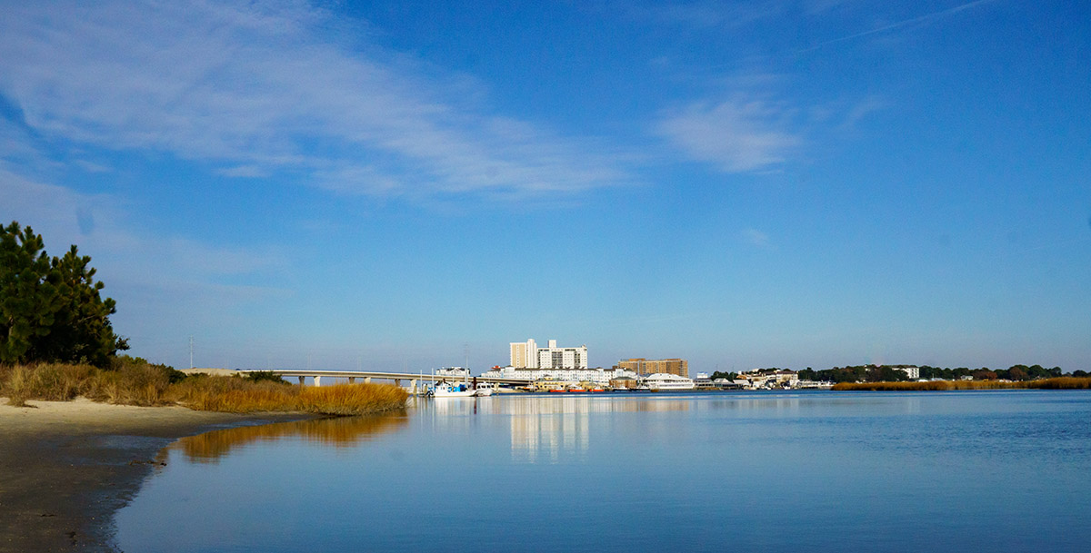 Vue de la zone naturelle de Pleasure House Point