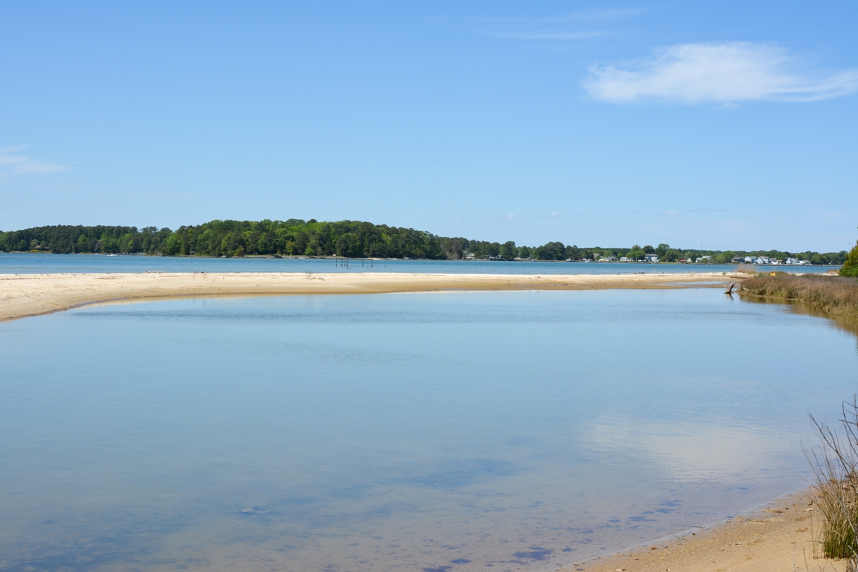 Une zone d'eau isolée des courants grâce à un banc de sable dans la réserve naturelle du marais de Dameron.