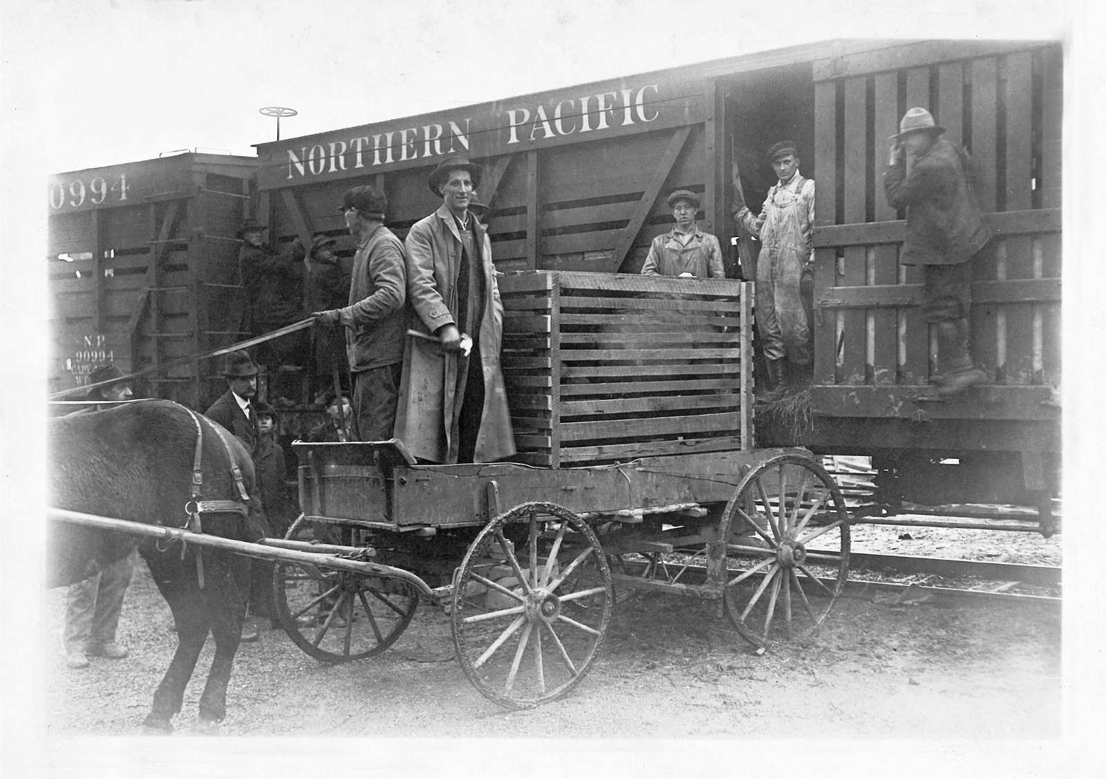 Photo historique en noir et blanc de quatre hommes sur un chariot tiré par des chevaux avec une grande caisse adossée à un wagon de chemin de fer.