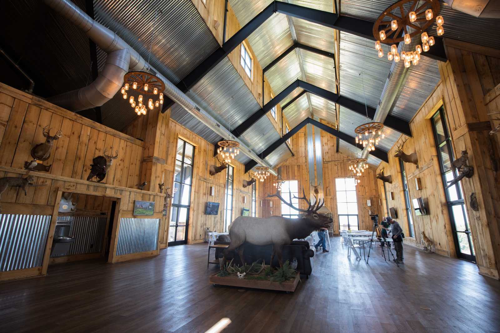 Photo de l'intérieur d'un grand bâtiment ouvert avec des animaux taxidermisés et de grandes fenêtres.