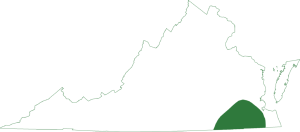 Le crapaud des chênes se trouve dans la partie sud-est de la plaine côtière