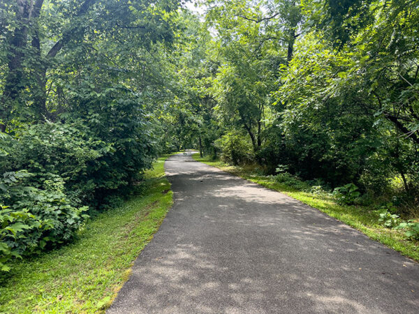 Le sentier pavé s'éloigne du quai et pénètre dans une zone boisée où des oiseaux-chats gris "mew" sortent des fourrés. Crédit photo : Lisa Mease