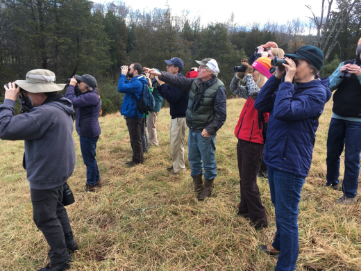 Dan (au centre) et ses étudiants en ornithologie de terrain
