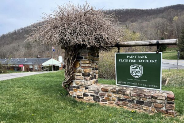 Panneau de bienvenue de l'écloserie du banc de peinture