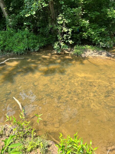 Habitat typique où l'on peut rencontrer le James Spinymussel.