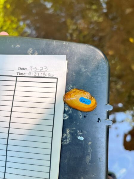 Une image de James Spinymussel