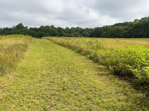 Une section du parcours de cross-country 5K.