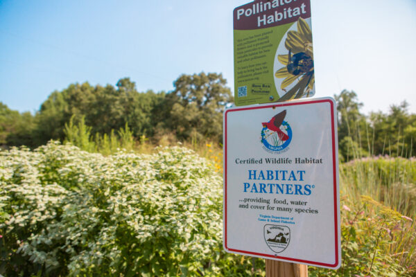 Une image d'une plaque décrivant le jardin de démonstration des pollinisateurs qui se trouve derrière ; cette plaie se lit "habitat certifié pour la faune... fournissant de la nourriture, de l'eau et un abri pour de nombreuses espèces."
