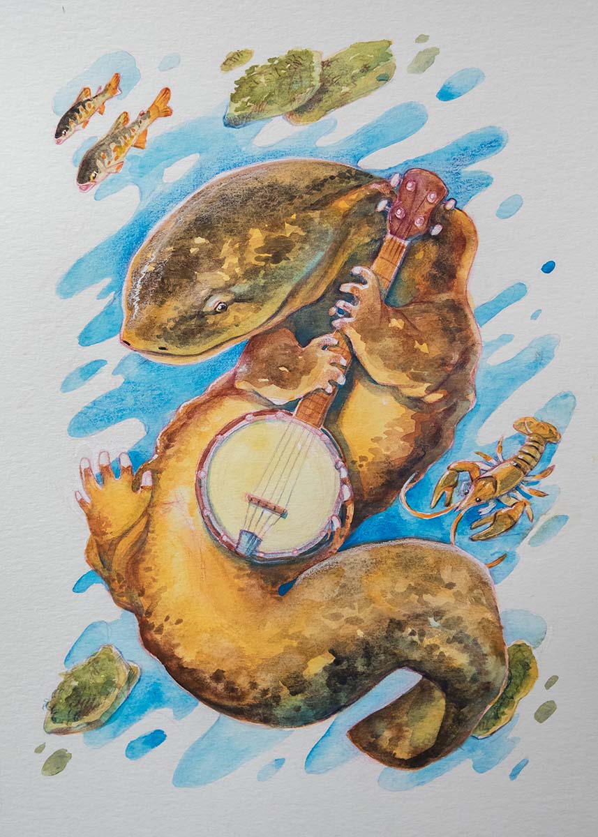 Illustration d'une salamandre géante de l'Est jouant du banjo