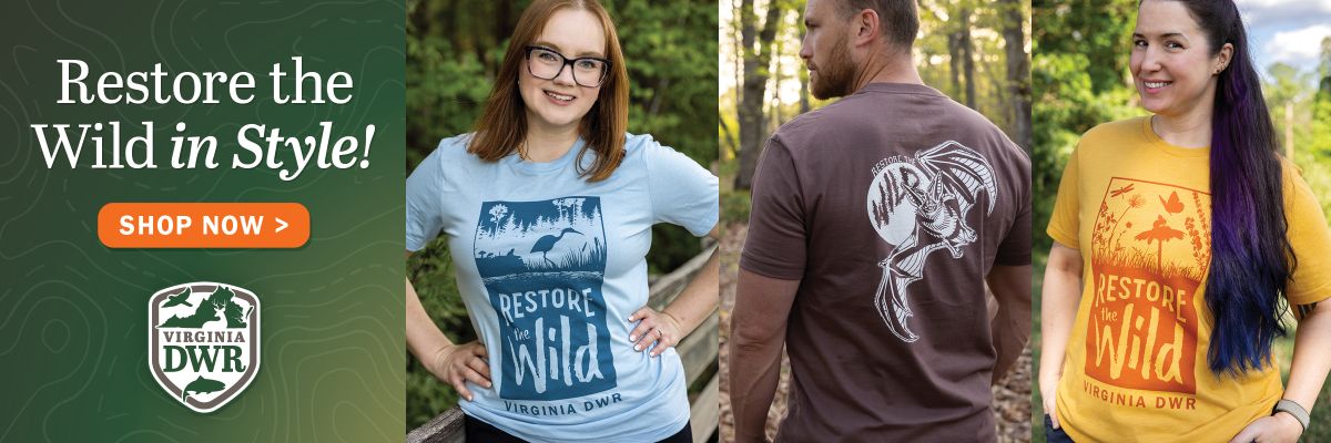 Restaurez la nature avec style ! Achetez de nouveaux t-shirts maintenant
