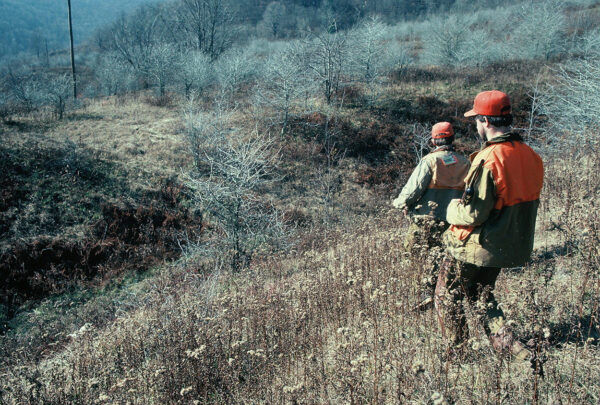 Image de deux chasseurs vêtus de gilets de visibilité orange descendant une colline à la recherche de gélinottes.