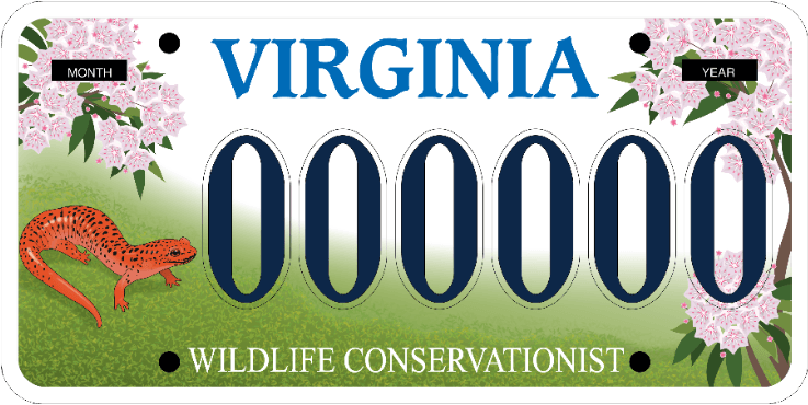 Exemple de plaque d'immatriculation du Virginia Wildlife Conservationist, illustrée d'une salamandre rouge et orange vif, la salamandre officielle de l'État de Virginie.