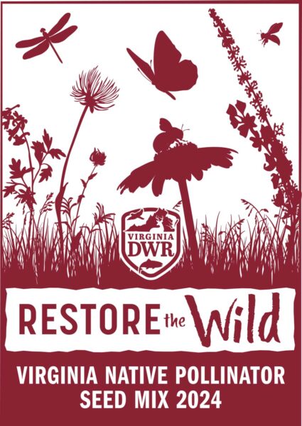 Un paquet de graines en papier brun, étiqueté Restore the Wild : Virginia Native Pollinator Seed Mix (Mélange de graines pour pollinisateurs indigènes de Virginie).