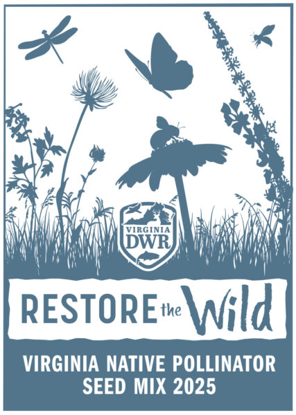 Un paquet de graines, étiqueté Virginia Native Pollinator Seed Mix (mélange de graines pour pollinisateurs indigènes de Virginie). 2024