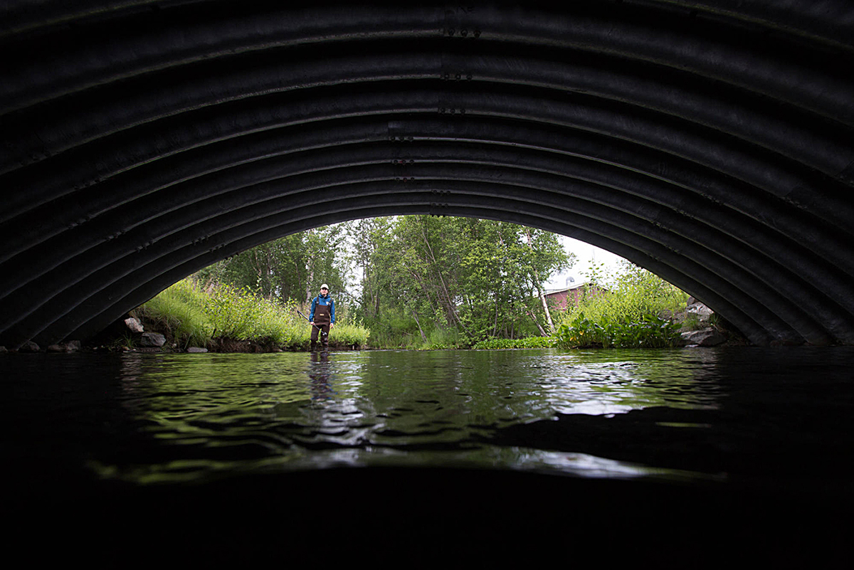 Image d'une passe à poissons en métal qui a été construite pour remplacer les barrières dans le ruisseau, ce qui permet au cours d'eau d'accueillir une plus grande variété d'espèces de poissons grâce à l'absence d'entraves à leurs mouvements.
