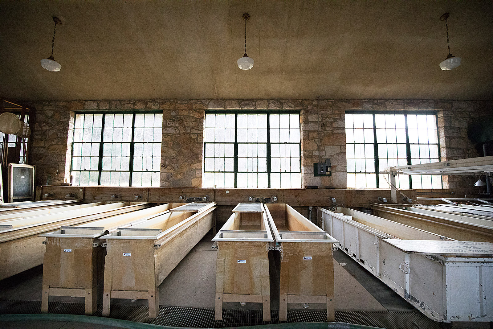 Une image de rangées de réservoirs de poissons du programme d élevage original de 1930.