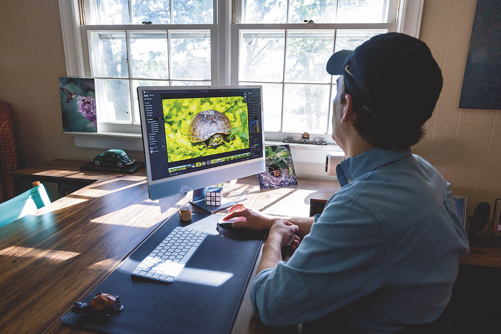 La photo d'un homme assis devant un ordinateur avec la photo d'une tortue sur l'écran.