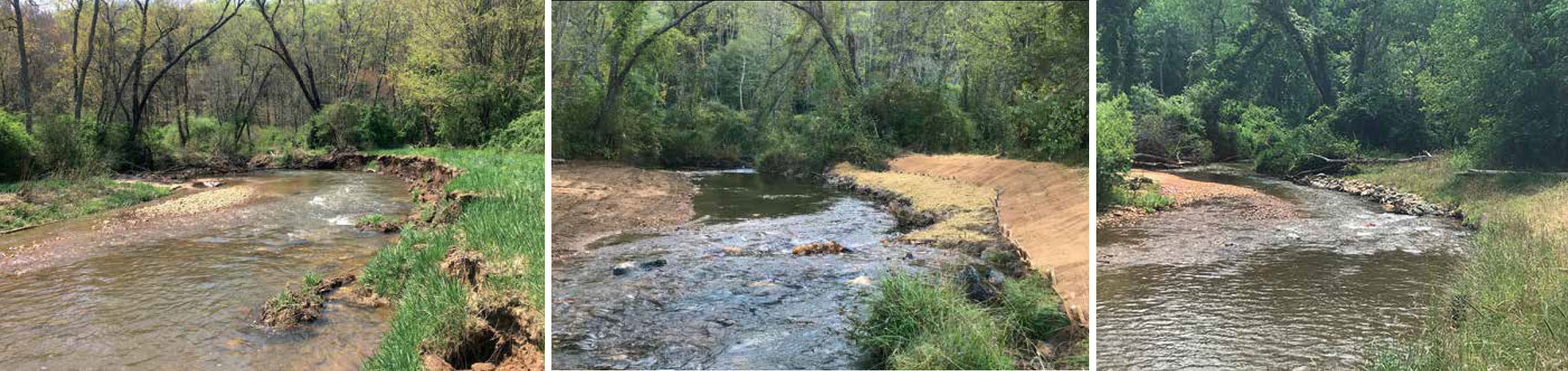 Une image qui est un collage de trois photos de Crooked creek dont les berges ont été stabilisées avec des plantes indigènes dans le cadre d'un projet d'amélioration de l'habitat.