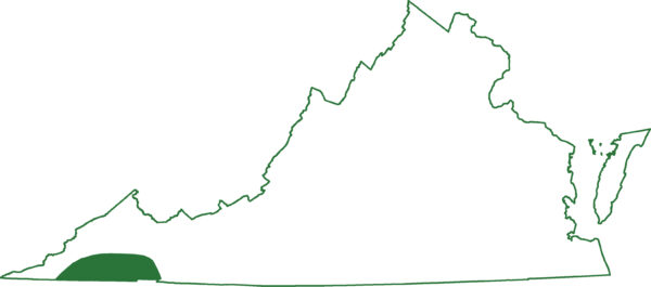 Image de la carte de l'aire de répartition de la salamandre zigzag méridionale ; on ne la trouve que dans quelques comtés de Virginie.