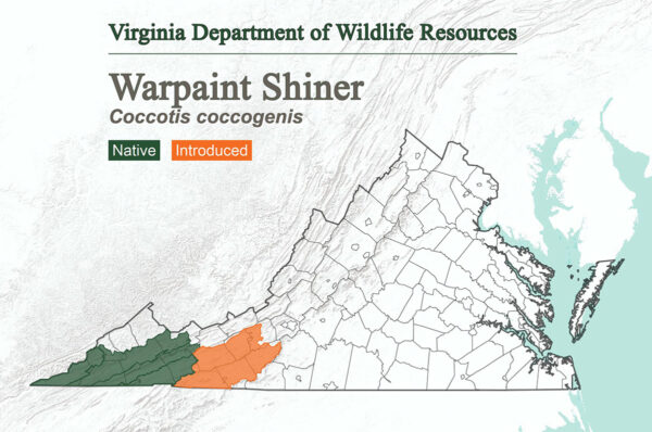 Le méné d'eau se trouve à l'extrémité ouest de la Virginie et a été introduit dans les limites les plus à l'est de son domaine.