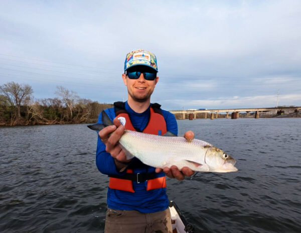 Un homme tient un alose vers l'appareil photo et sourit pour la photo alors qu'il se trouve sur un plan d'eau.