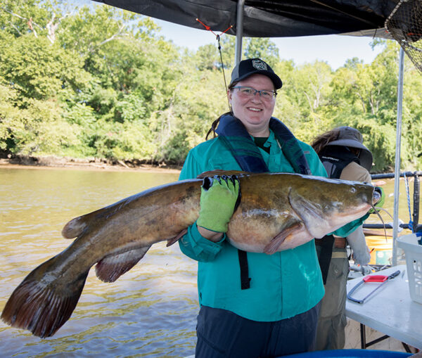 Image d'une femme tenant un grand poisson-chat à tête plate
