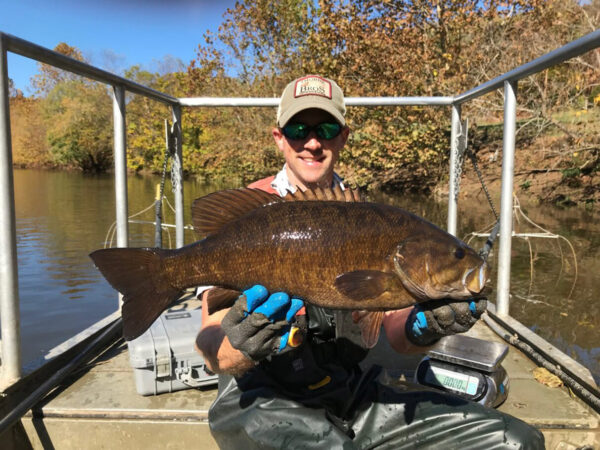 Tyler Young, biologiste des pêches, montre un achigan à petite bouche capturé lors d'une enquête communautaire automnale sur les poissons.